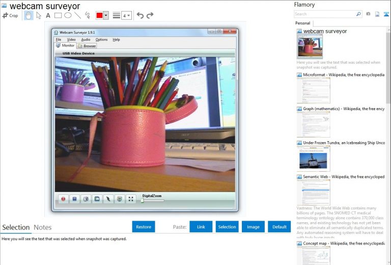 download Webcam Surveyor 3.9.2.1212